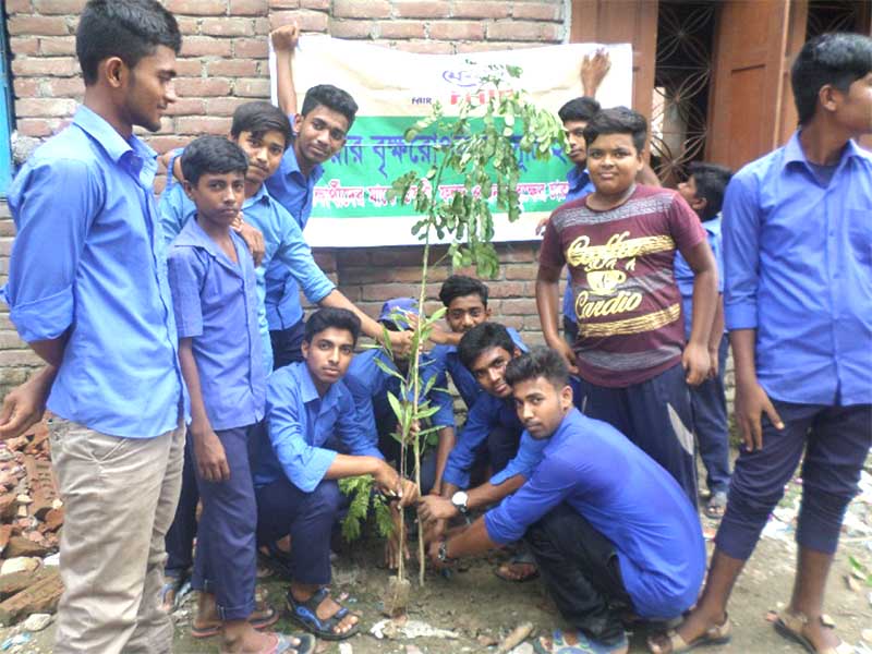 Tree Plantation in School